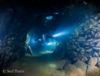 Cave diving - explore