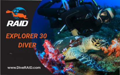 RAID Explorer 30 Diver