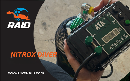 RAID Nitrox Diver