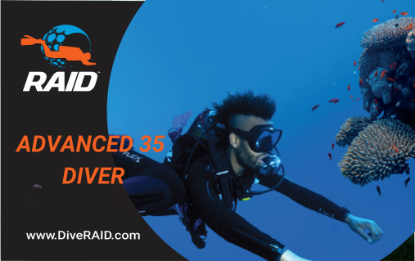 RAID Advanced 35 Diver