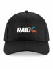 RAID Pet