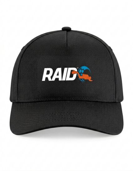 RAID Pet
